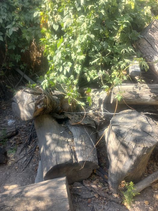 Даром отдам самовывоз звоните на сообщение не отвечаю