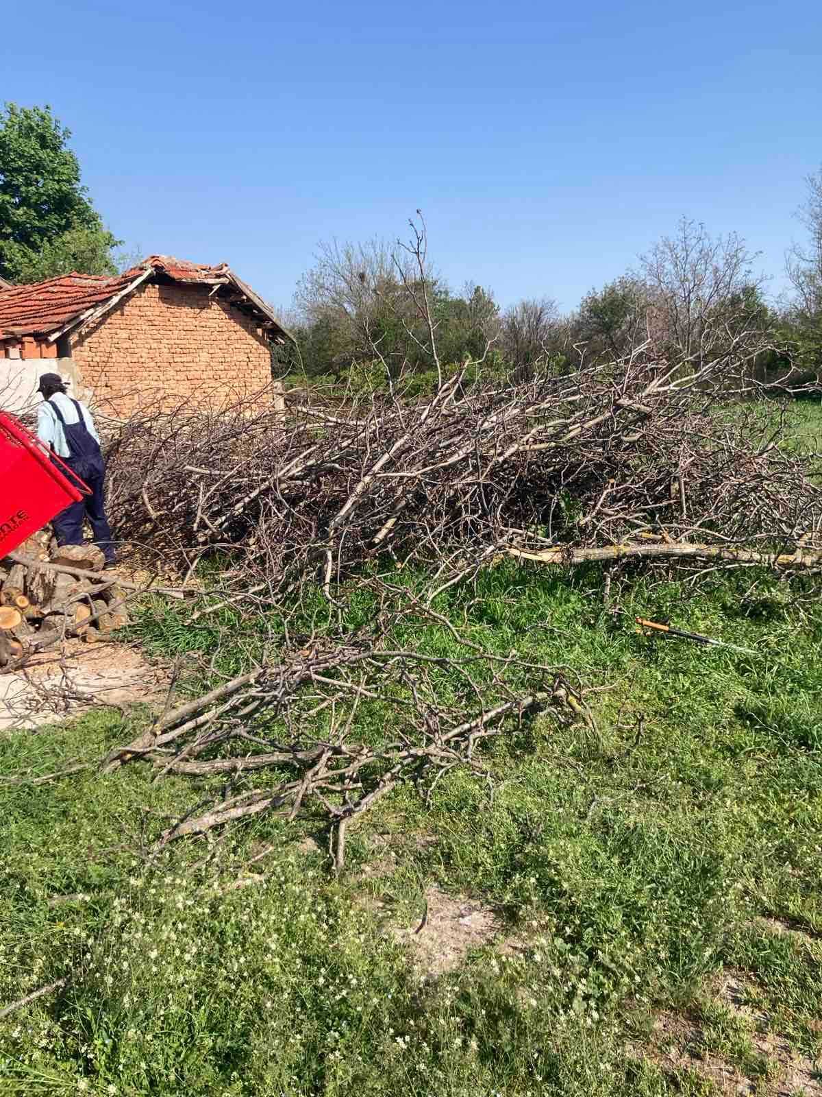 Почистване на парцели от растителност
