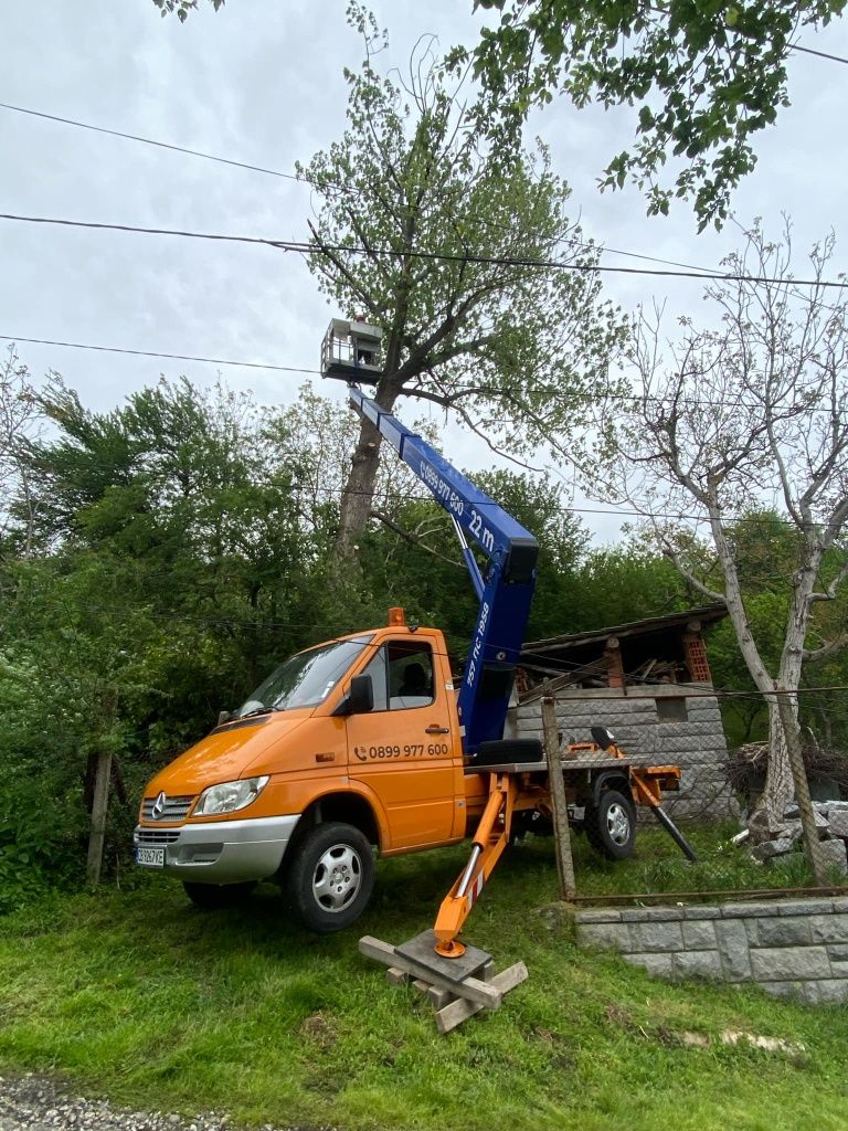 Рязане на опасни дървета.косене