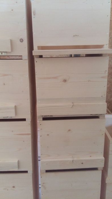 Stupi verticali,orizontali,roinite,nucleu de împerechere. alimentator.