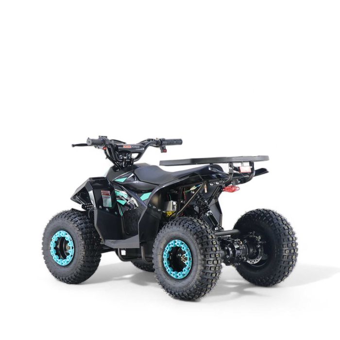 ATV 125cc pentru Copii Roti pe 7 inch Automat Import Germania Garantie