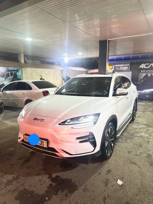 Byd CHAMPION 2024/25