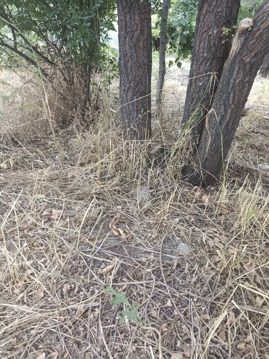 Продам участок место старый щебень завод высше ПО кл Исабаева(хутор)