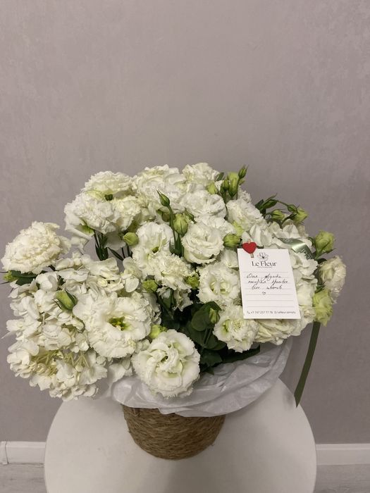 продаю цветы 18 к