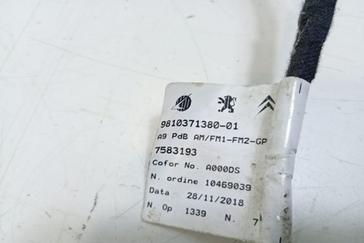 Cablu 9810371380 Peugeot   seria