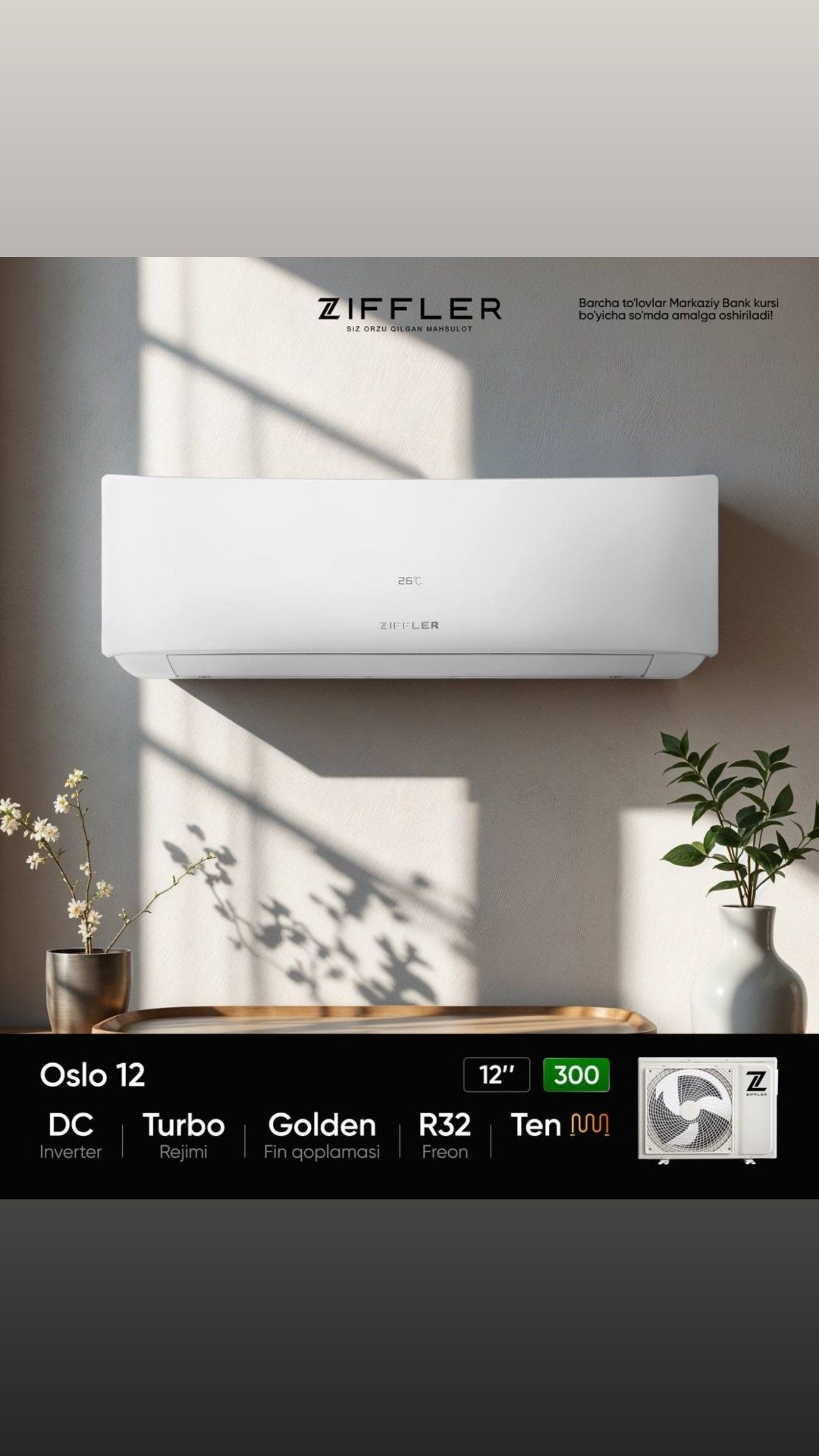 Ziffler 12 Inverter Бесплатная Доставка от склада Гарантия Оригинал