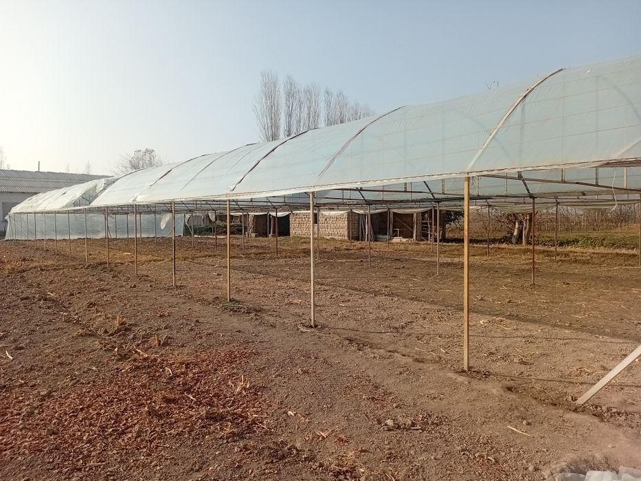 Теплитцы 4.5 сотх