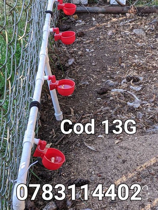 Adapatori automate gaini pui pasari curci fazani rate porumbei - 13G