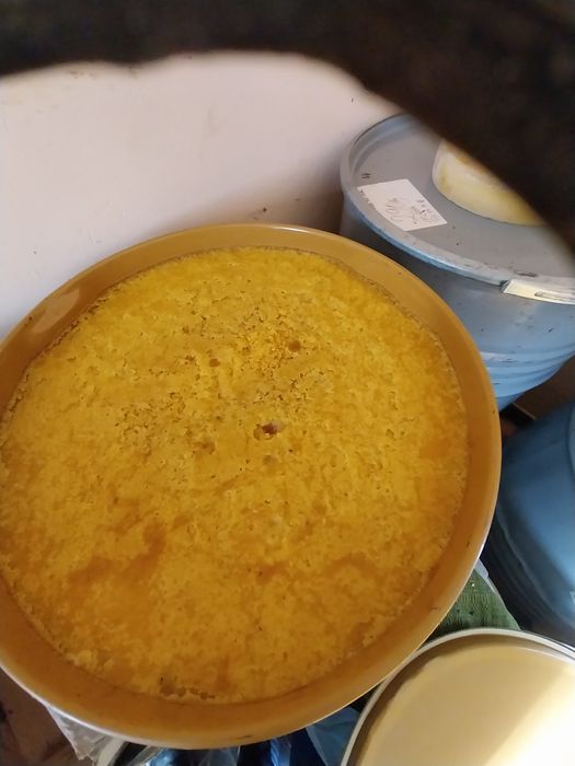 Miere  polifloră  de vanzare