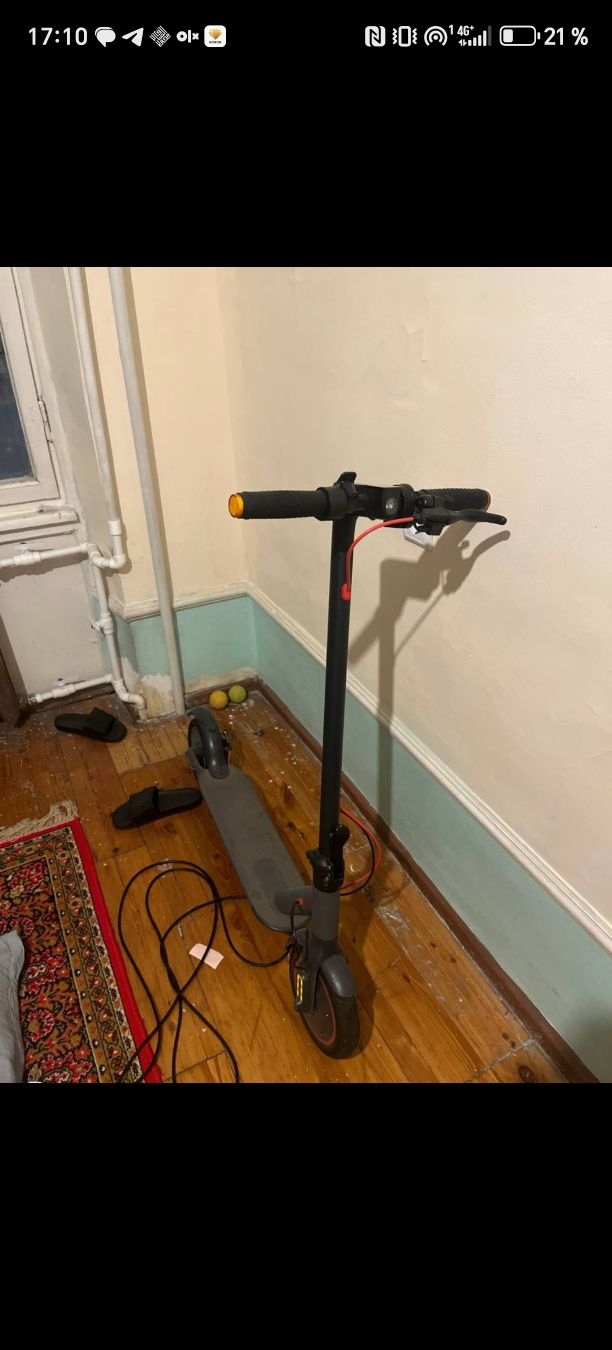 Drongo elektara samakat sotiladi