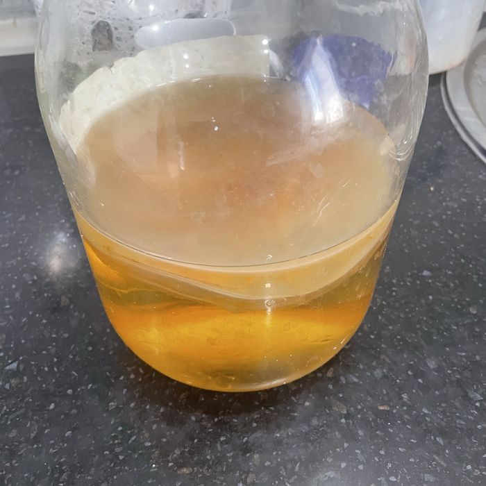 Продам чайный гриб по 2000 тенге