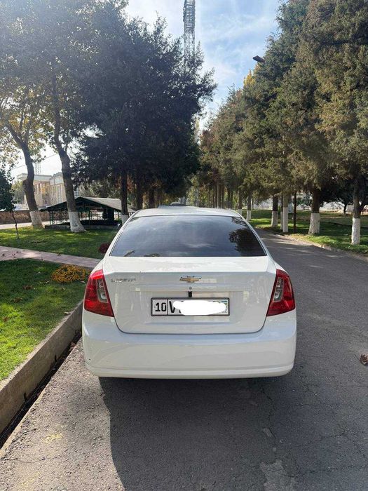 Жентра 2019 йил тоза