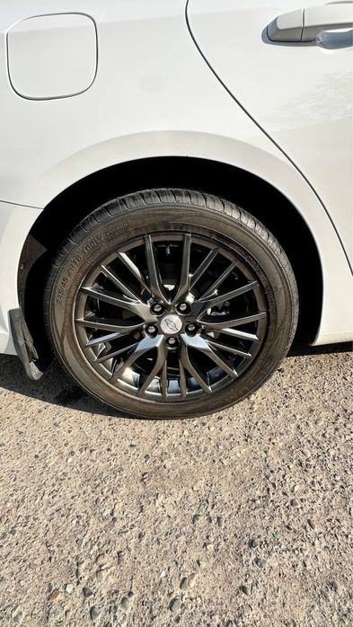 diska balon r18 zetum