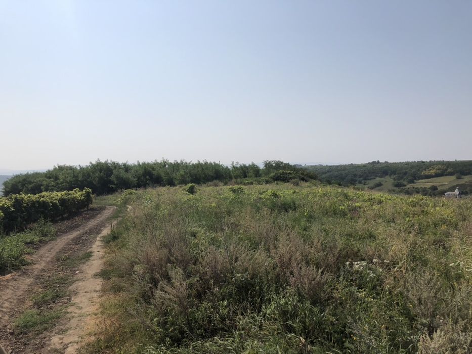 19.000 m2  Sorogari comuna Aroneanu Iasi la 200 m de asfalt