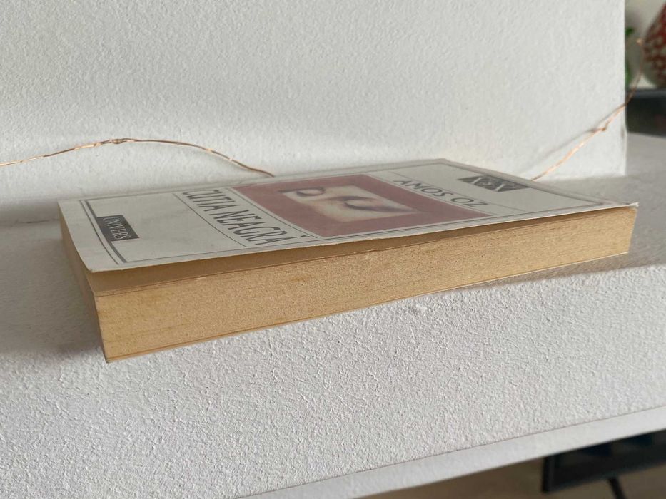 Cutia neagra de Amos Oz