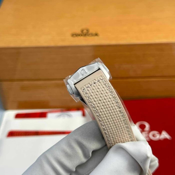 omega seamaster planetocean beggie