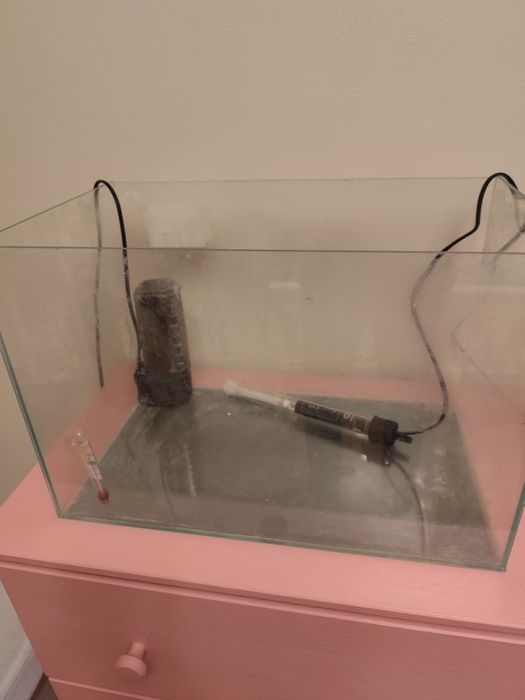 Vând acvariu complet echipat