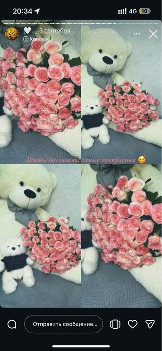 51 роза бағасы келісімді