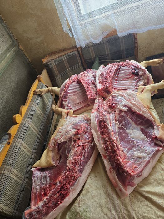 Продам мясо свинины