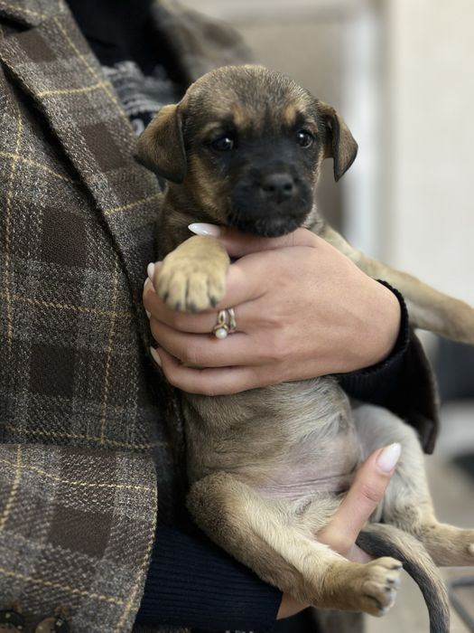 Ищем любящую семью