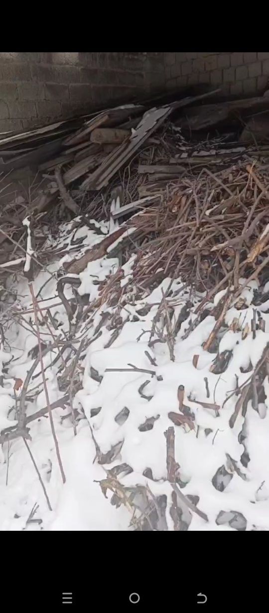 Hammasi 3mln tegda hali kop bor kelshtrb beramz