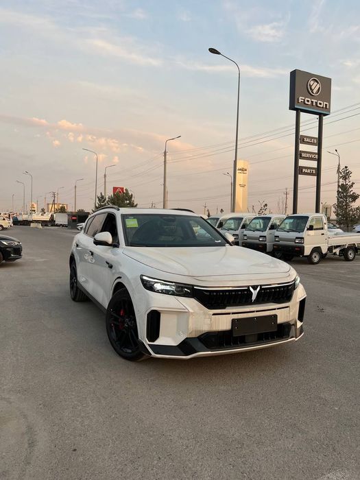 Voyah free apollo tech 318