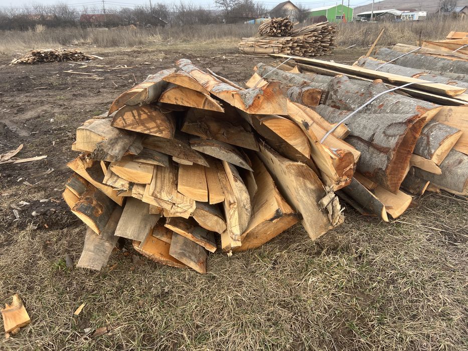 Lemn de fag/ Laturoaie de fag