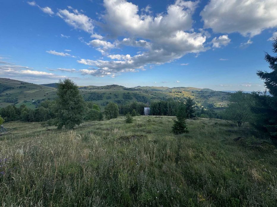 Teren intravilan 1000 mp, panoramă superbă – ideal cabană/Airbnb