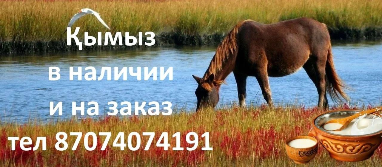Кумыс Кымыз Кумыс