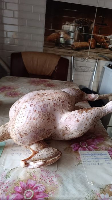 Продаётся  свежее мясо  мясных  индюков бройлерных и бройлеров