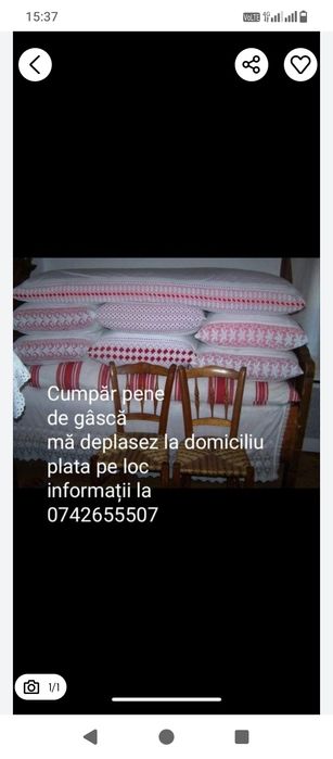 Achiziții de pene de gasca