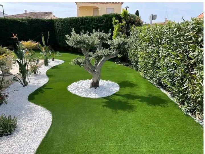 Vând plante naturale ornamentale