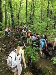 Однодневный тур в институт солнца и хвойный лес
хвойный ле