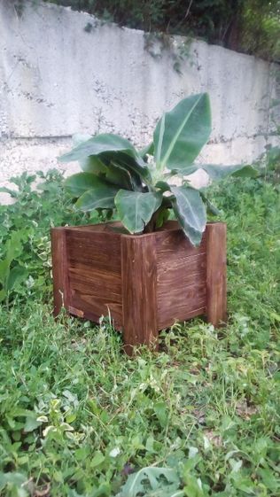 Дървени саксии (кашпи) за растения и сандъче за цветя