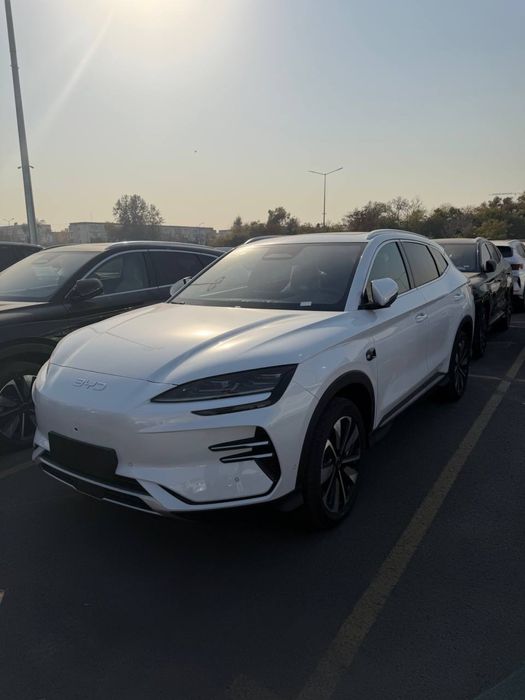 BYD champion smart drive