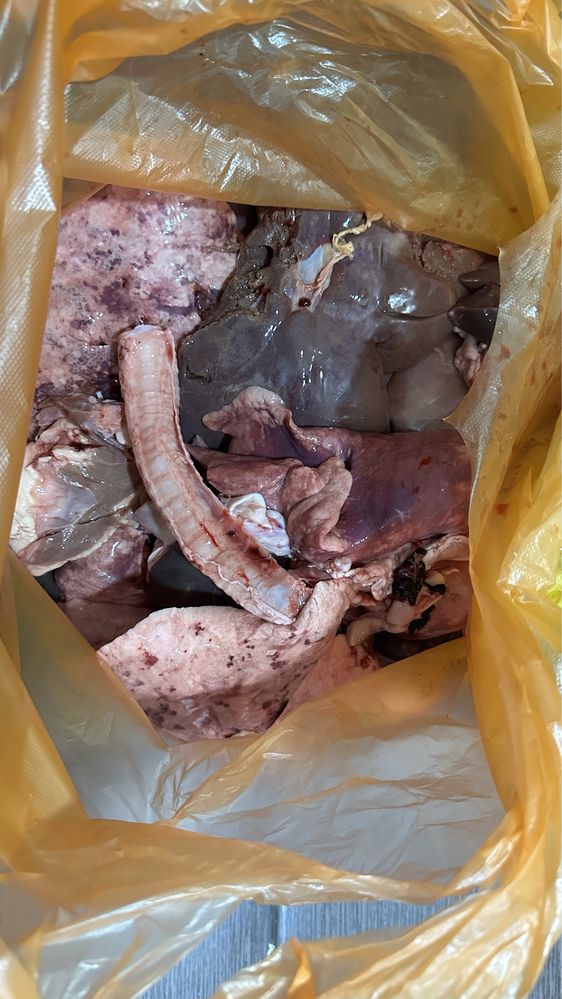 Корм мясо для собак и кошек