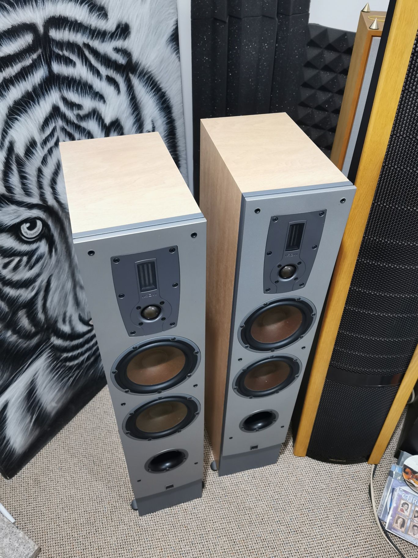 Dali Ikon 6 boxe High End de TOP