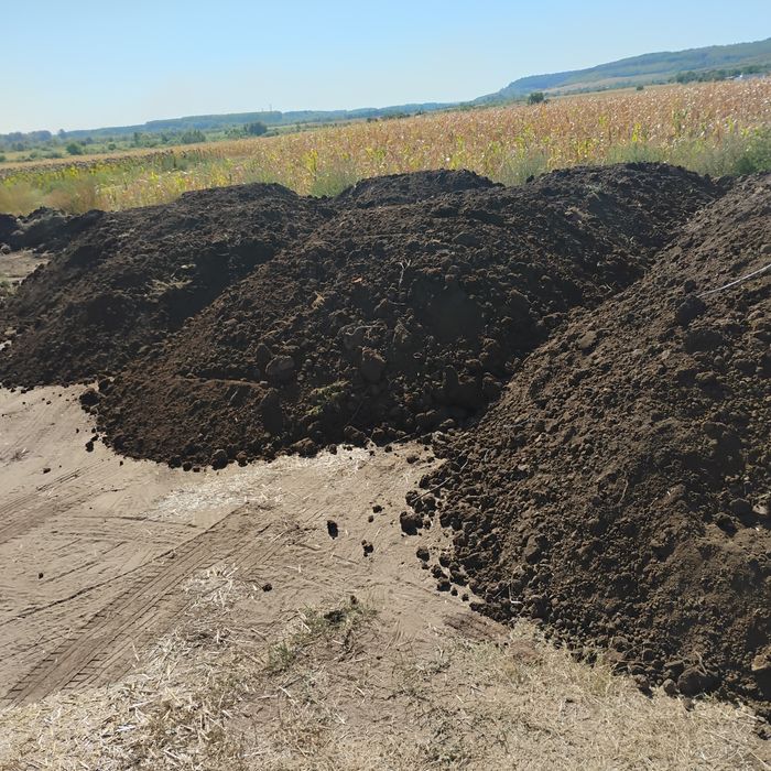 Pământ gazon gradina florii pomii mranita