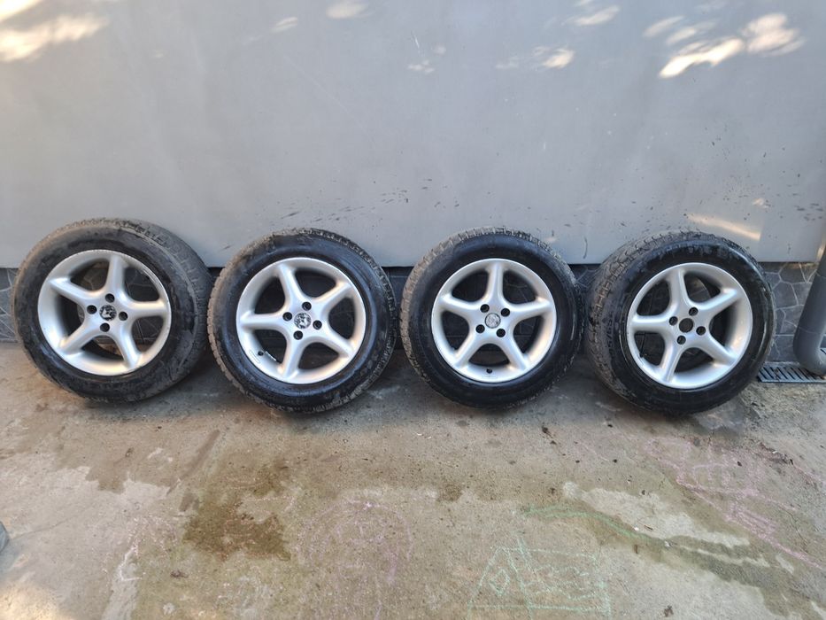 Roti de iarnă.  4x100   R15