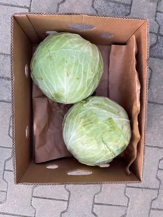 Продавам Зеле на едро