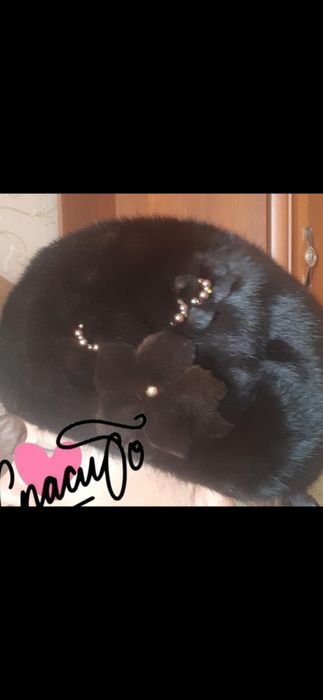 Шапка норковая.Темно -коричневая.размер 56.Регулируется