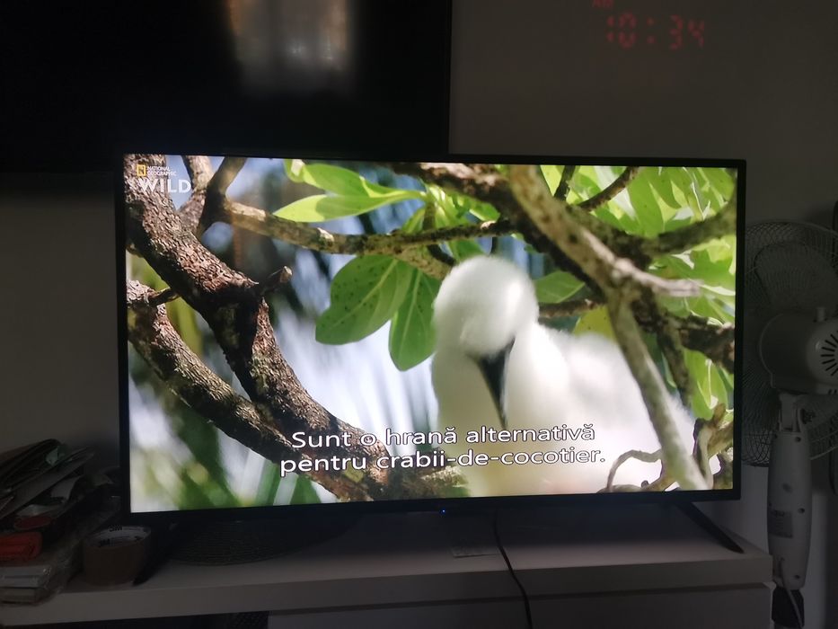 Televizor Vortex 102cm