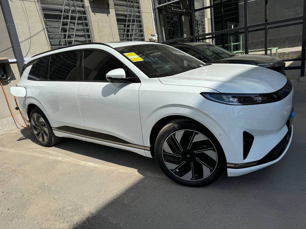 Dongfeng 008 Gibrid nalichiy bor
