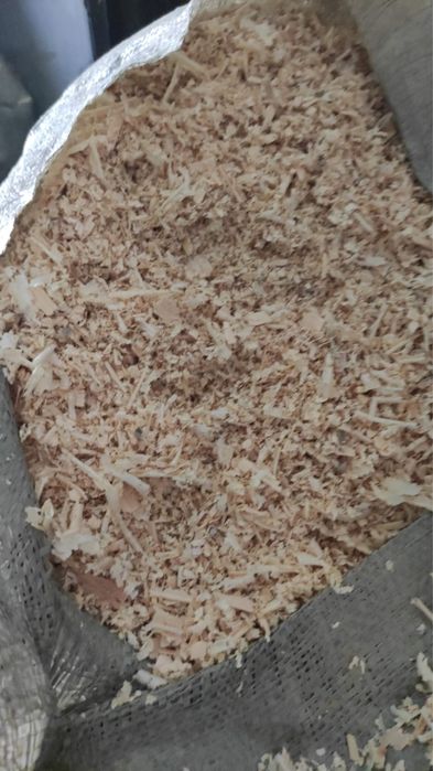 Опилки стружка  сосна чистое дерево