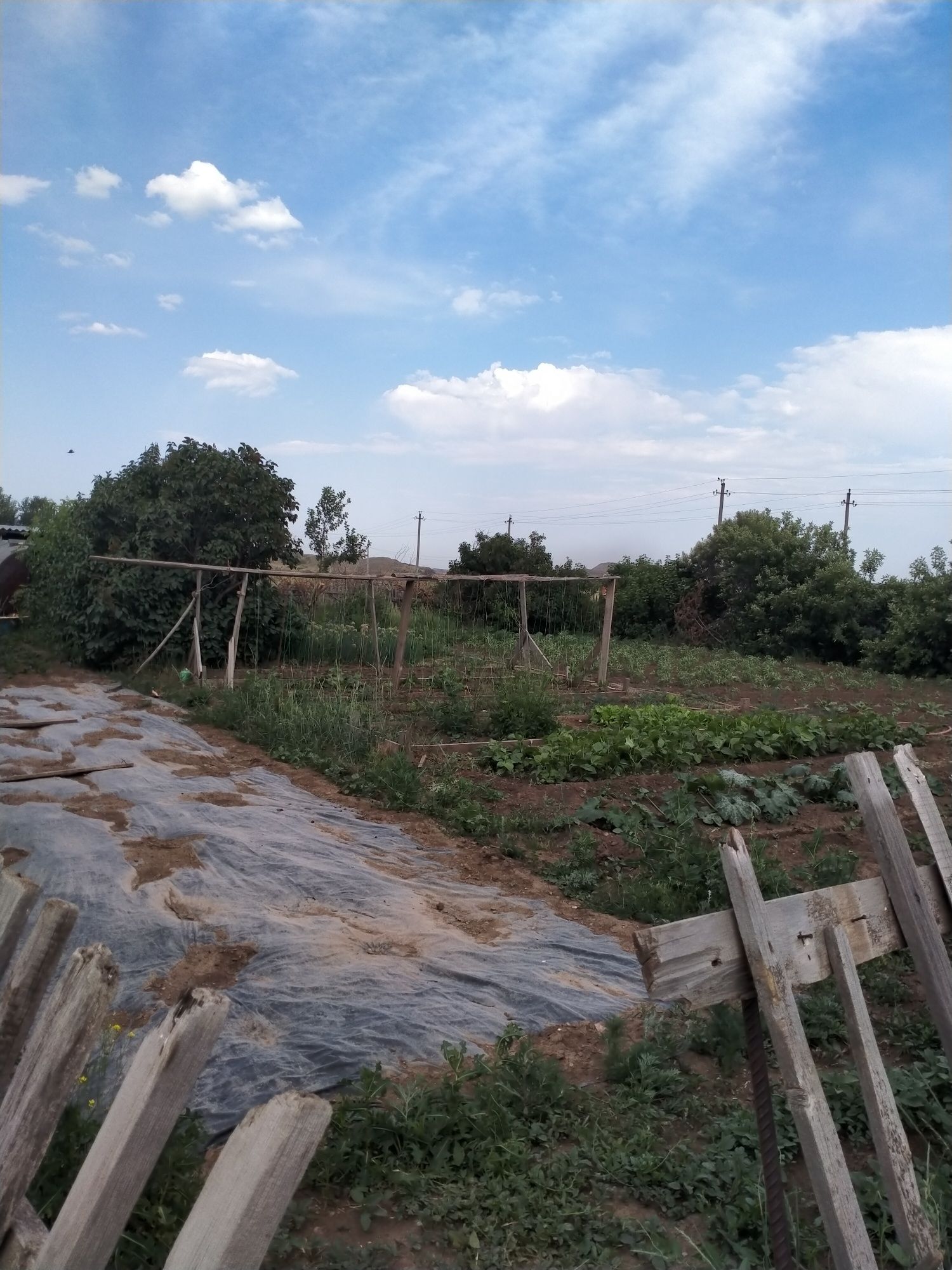 Продам дом аршалынский район