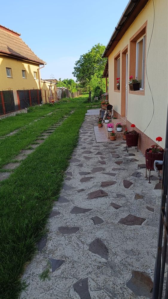 Casa de vanzare in poiana