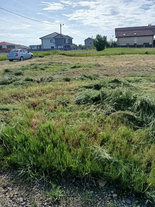 Teren intravilan Dumbrăvița urgent