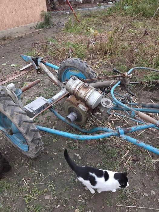 Cositoare pe benzina BGS.