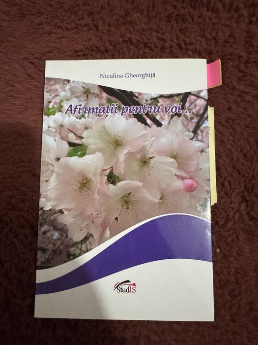 Carte Afirmatii pentru voi Niculina Gheorghita