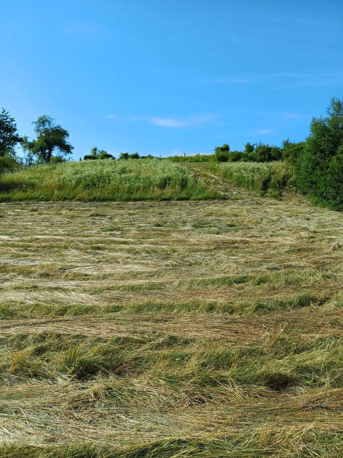 Teren intravilan